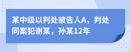 某中級(jí)以判處被告人A，判處同案犯謝某，孫某12年