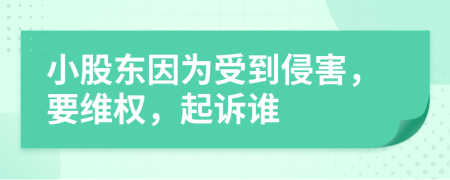 小股東因?yàn)槭艿角趾?，要維權(quán)，起訴誰