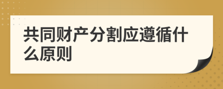共同財(cái)產(chǎn)分割應(yīng)遵循什么原則