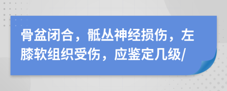 骨盆閉合，骶叢神經(jīng)損傷，左膝軟組織受傷，應(yīng)鑒定幾級/