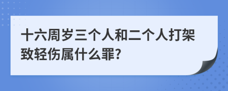 十六周歲三個人和二個人打架致輕傷屬什么罪?