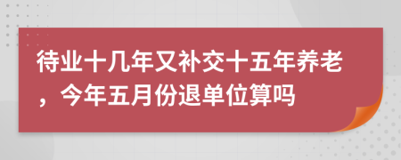 待業(yè)十幾年又補(bǔ)交十五年養(yǎng)老，今年五月份退單位算嗎