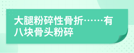 大腿粉碎性骨折……有八塊骨頭粉碎