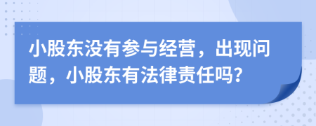 小股東沒有參與經(jīng)營，出現(xiàn)問題，小股東有法律責任嗎？