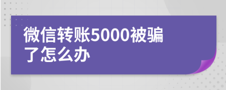 微信轉(zhuǎn)賬5000被騙了怎么辦