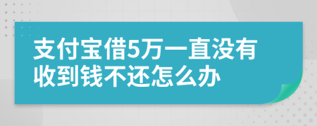 支付寶借5萬一直沒有收到錢不還怎么辦