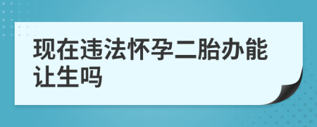 現(xiàn)在違法懷孕二胎辦能讓生嗎