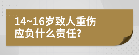 14~16歲致人重傷應(yīng)負(fù)什么責(zé)任？