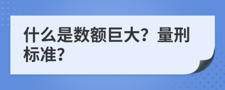 什么是數(shù)額巨大？量刑標(biāo)準(zhǔn)？