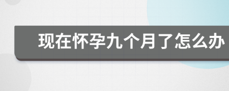 現(xiàn)在懷孕九個月了怎么辦