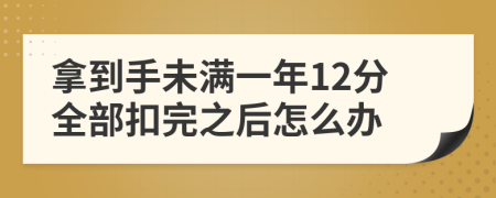 拿到手未滿一年12分全部扣完之后怎么辦