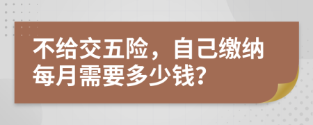 不給交五險(xiǎn)，自己繳納每月需要多少錢？