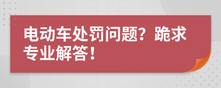 電動(dòng)車處罰問題？跪求專業(yè)解答！