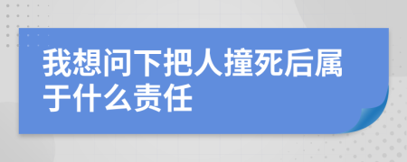 我想問下把人撞死后屬于什么責(zé)任