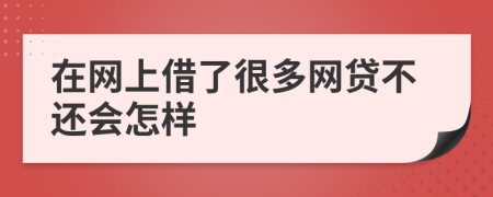 在網(wǎng)上借了很多網(wǎng)貸不還會怎樣