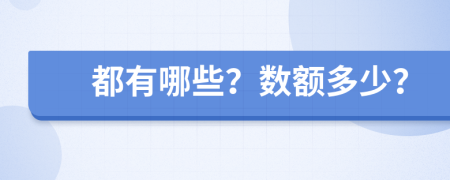 都有哪些？數(shù)額多少？