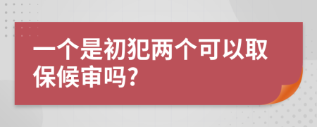 一個是初犯兩個可以取保候?qū)弳?