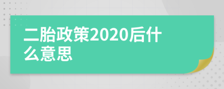 二胎政策2020后什么意思