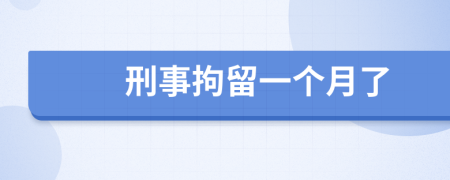 刑事拘留一個月了