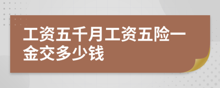 工資五千月工資五險(xiǎn)一金交多少錢