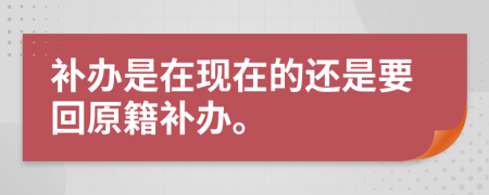 補(bǔ)辦是在現(xiàn)在的還是要回原籍補(bǔ)辦。