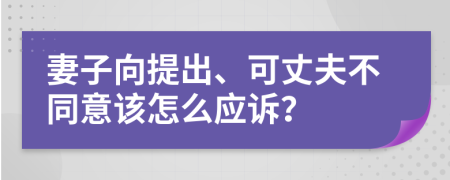妻子向提出、可丈夫不同意該怎么應(yīng)訴？
