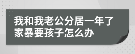 我和我老公分居一年了家暴要孩子怎么辦