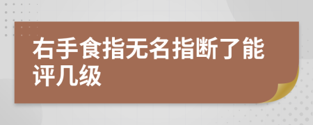 右手食指無(wú)名指斷了能評(píng)幾級(jí)