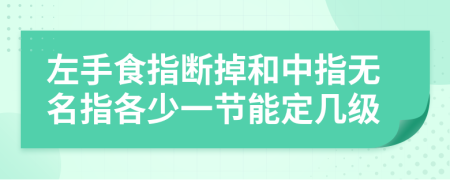 左手食指斷掉和中指無名指各少一節(jié)能定幾級(jí)