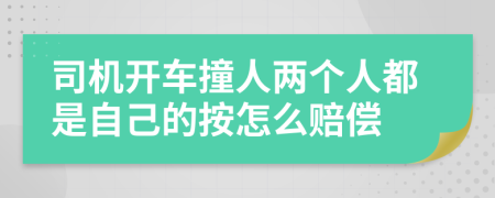 司機(jī)開車撞人兩個人都是自己的按怎么賠償
