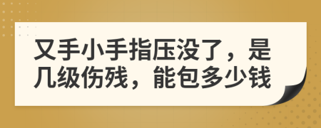 又手小手指壓沒(méi)了，是幾級(jí)傷殘，能包多少錢(qián)