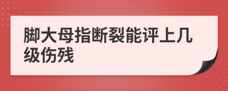 腳大母指斷裂能評(píng)上幾級(jí)傷殘