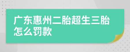 廣東惠州二胎超生三胎怎么罰款