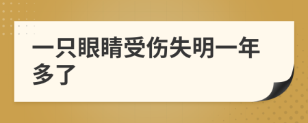 一只眼睛受傷失明一年多了