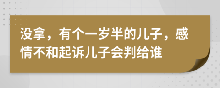 沒拿，有個一歲半的兒子，感情不和起訴兒子會判給誰