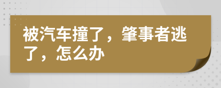 被汽車撞了，肇事者逃了，怎么辦