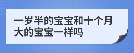 一歲半的寶寶和十個月大的寶寶一樣嗎