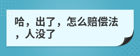 哈，出了，怎么賠償法，人沒了