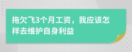 拖欠飛3個(gè)月工資，我應(yīng)該怎樣去維護(hù)自身利益