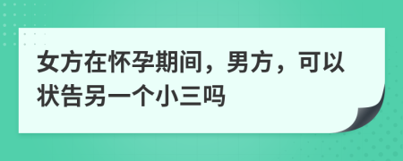 女方在懷孕期間，男方，可以狀告另一個小三嗎