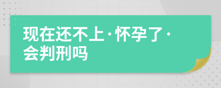 現(xiàn)在還不上·懷孕了·會(huì)判刑嗎
