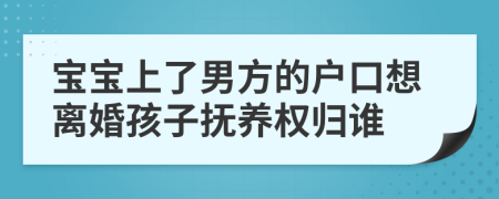 寶寶上了男方的戶口想離婚孩子撫養(yǎng)權(quán)歸誰(shuí)