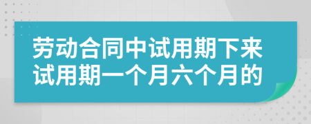 勞動(dòng)合同中試用期下來試用期一個(gè)月六個(gè)月的