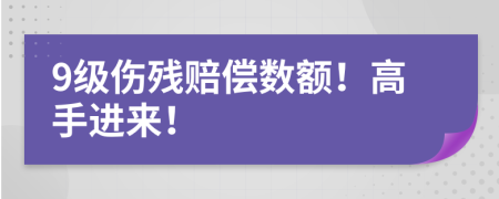 9級傷殘賠償數(shù)額！高手進(jìn)來！