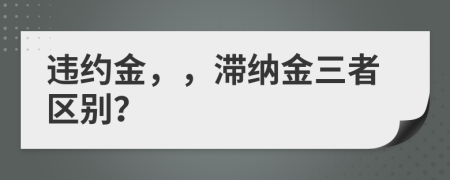 違約金，，滯納金三者區(qū)別？