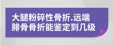 大腿粉碎性骨折.遠(yuǎn)端腓骨骨折能鑒定到幾級