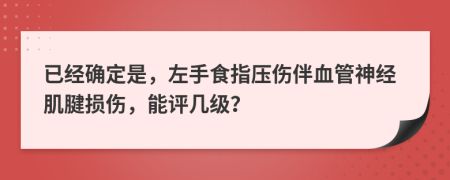 已經(jīng)確定是，左手食指壓傷伴血管神經(jīng)肌腱損傷，能評幾級？