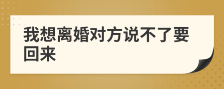 我想離婚對方說不了要回來