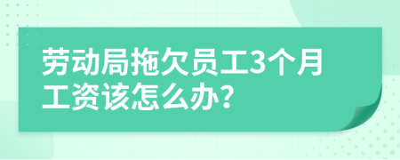 勞動(dòng)局拖欠員工3個(gè)月工資該怎么辦？