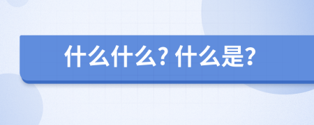 什么什么? 什么是？